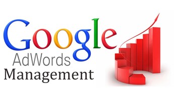professional google ads management services